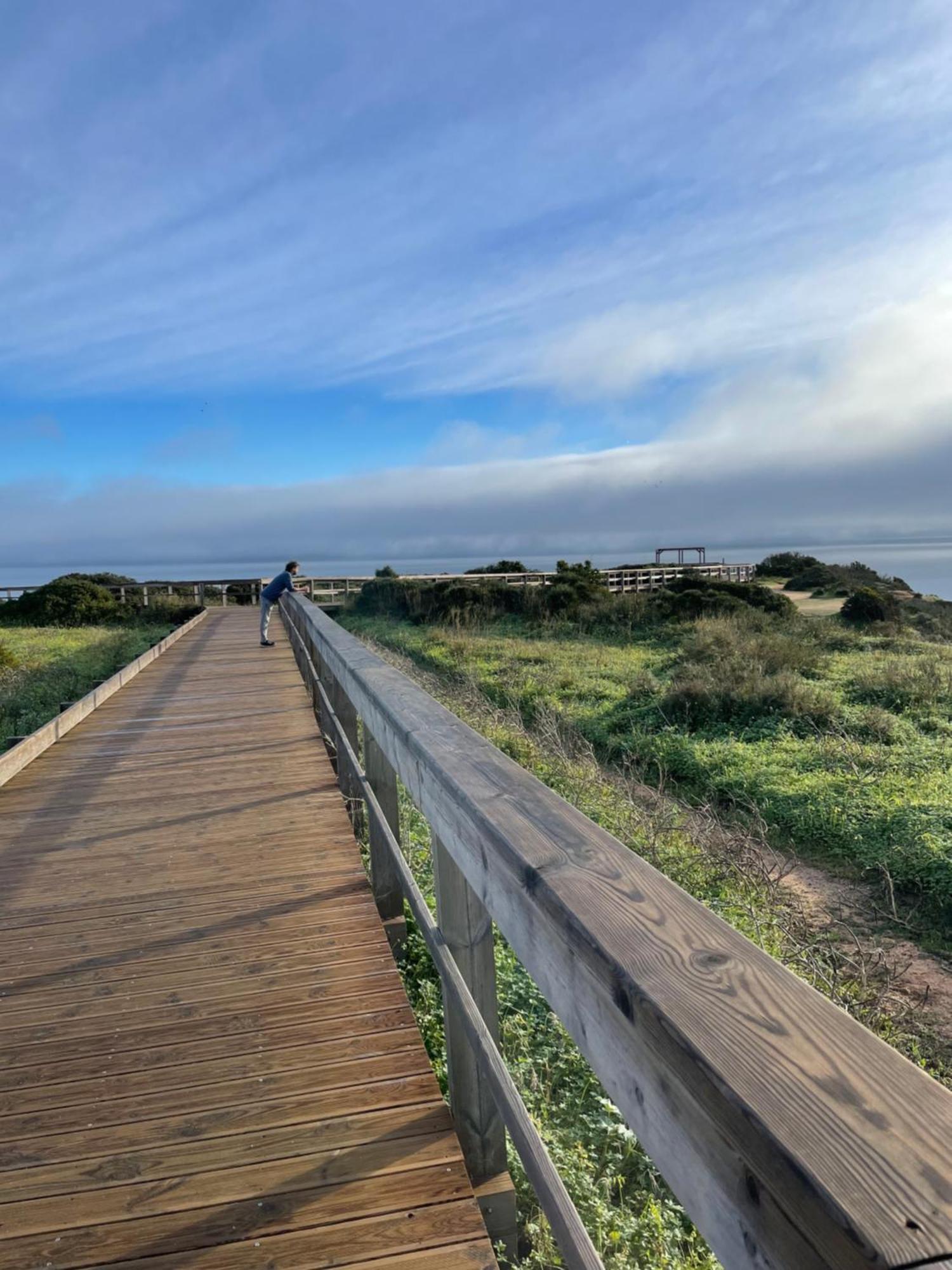 Casa Timor - Perfect Stay For Exploring Lagos & Algarve Eksteriør bilde